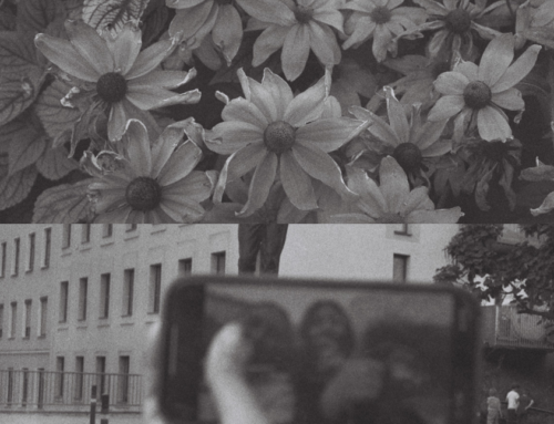 Analoge Fotografie mit FOTO ARSENAL WIEN