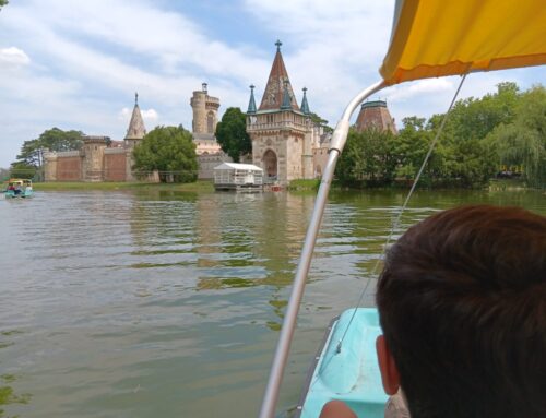 Tretbootfahren in Laxenburg